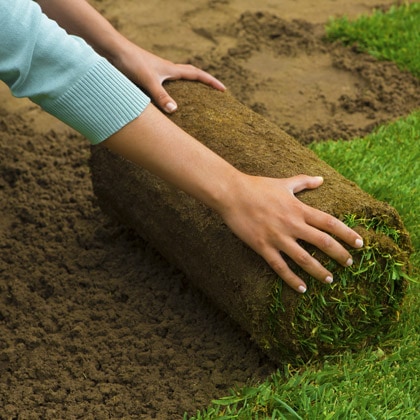 Gyepszőnyeg rendelés